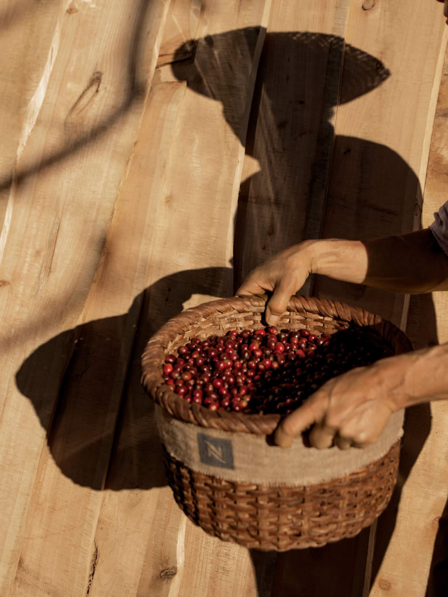 coffee-beans-with-hands3