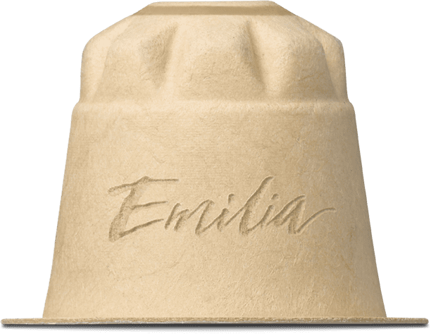 ispirazione-emilia2